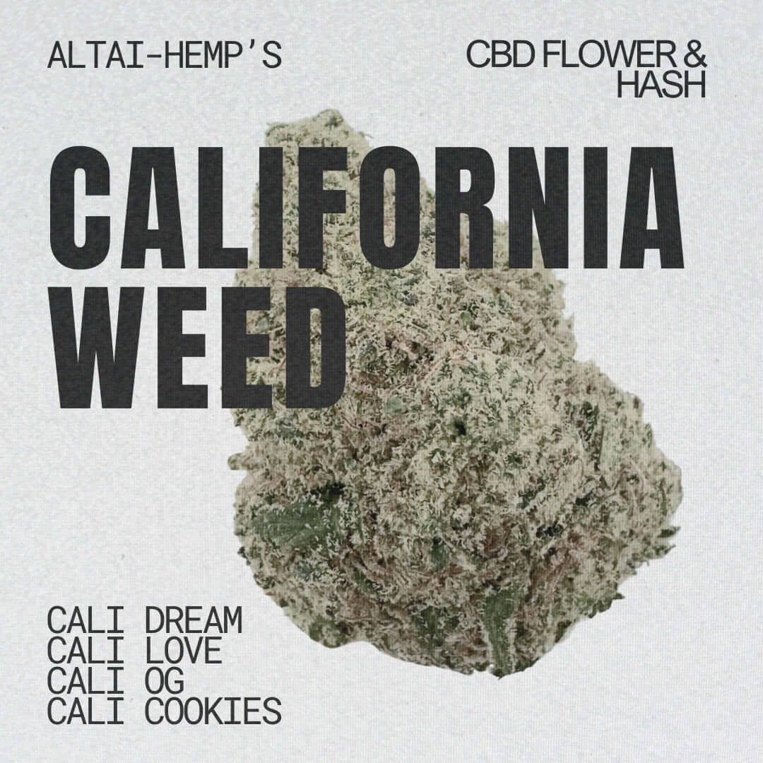 Cali Weed mit starkem Look & Geschmack aus den USA - Cannabis Altai-Hemp's