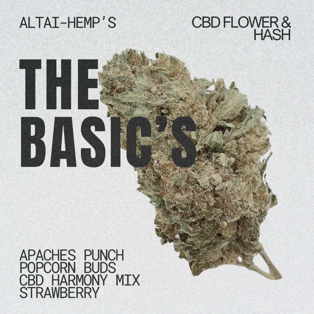 Basics CBD Blüten für Einsteiger mit fairem Preis & Qualität - Cannabis Altai-Hemp's