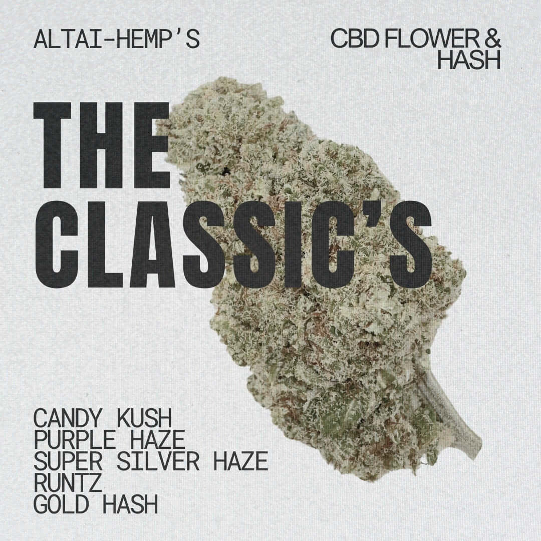 Beliebte klassische CBD-Blüten mit natürlichem Geschmack - Cannabis Altai-Hemp's