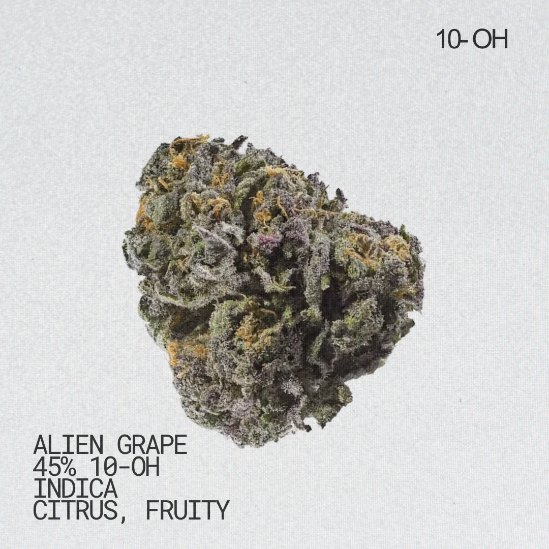 Alien Grape 10-OH Blüten 45%: Indica mit fruchtig-zitronigem Aroma und violetter Eleganz.