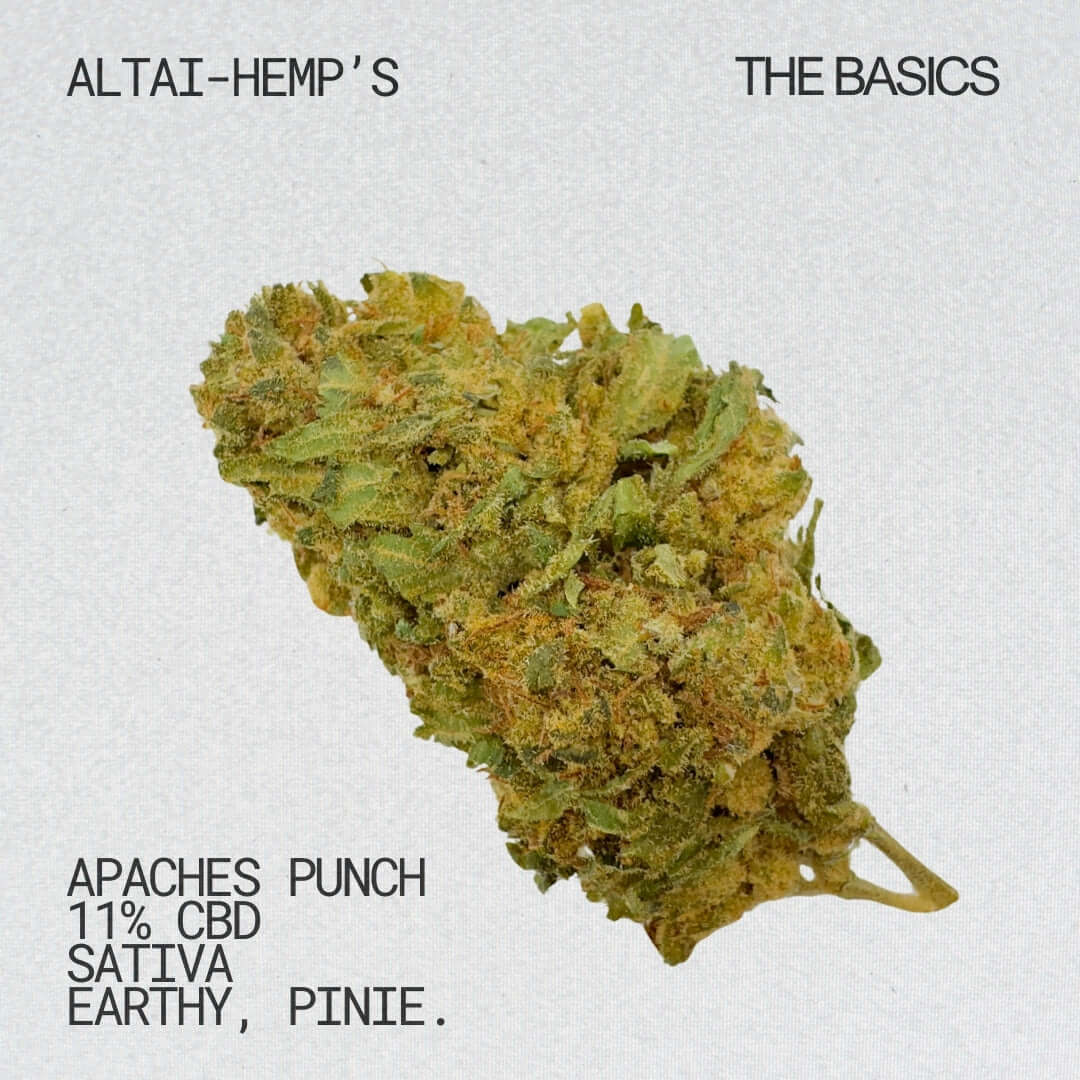 Apaches Punch CBD Blüten CBD Blüten Altai-Hemp's