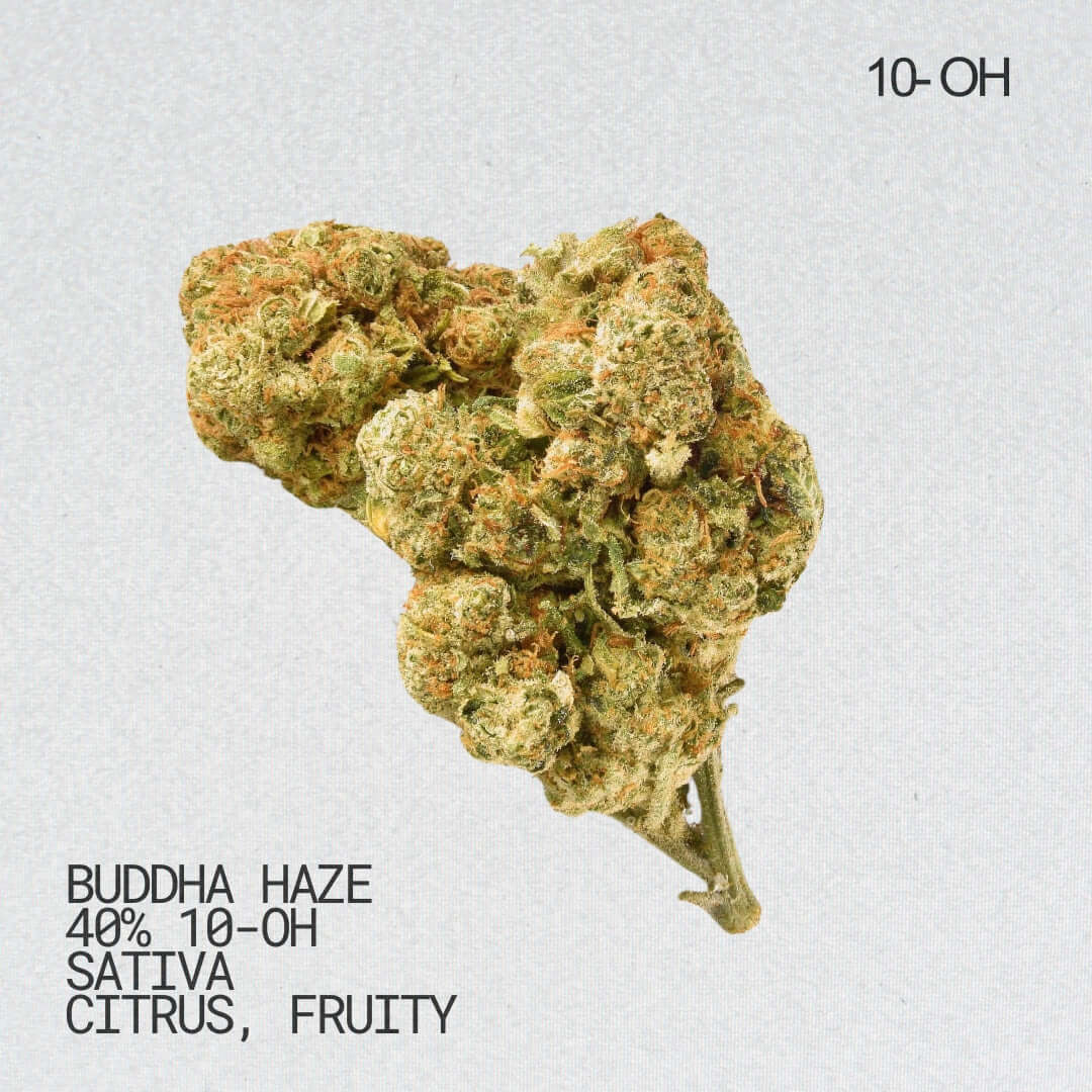 Buddha Haze 10-OH Blüten 40% 10-OH-HHC Altai-Hemp's