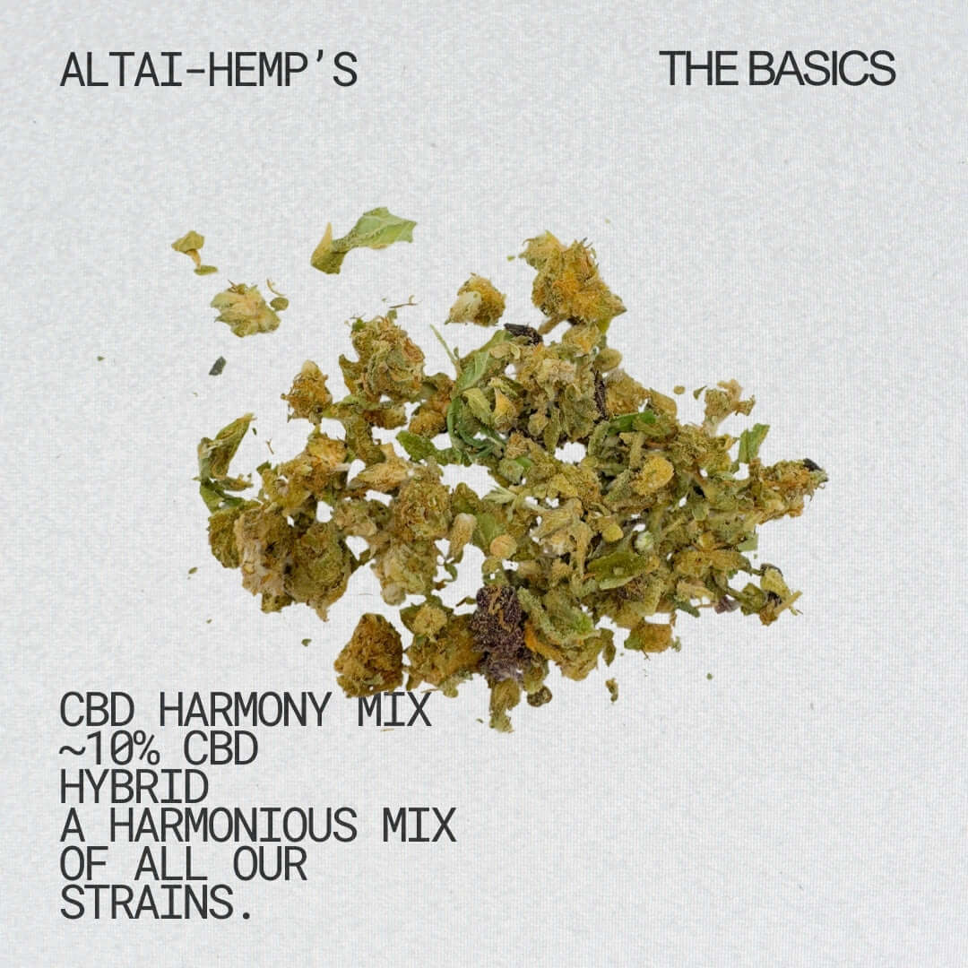 CBD Harmony Mix CBD Blüten CBD Blüten Altai-Hemp's