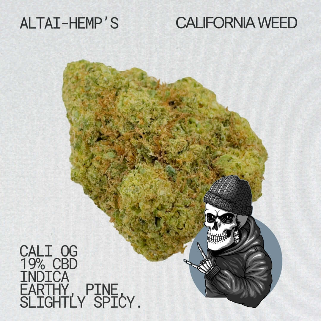Cali OG CBD Blüten CBD Blüten Altai-Hemp's