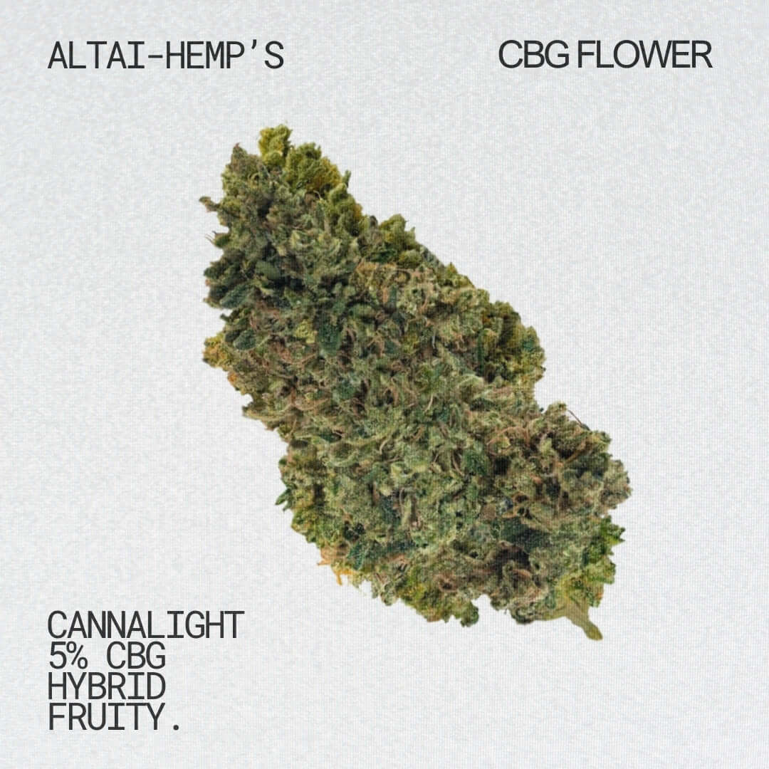 Cannalight CBG Blüten 5% CBG Blüten Altai-Hemp's