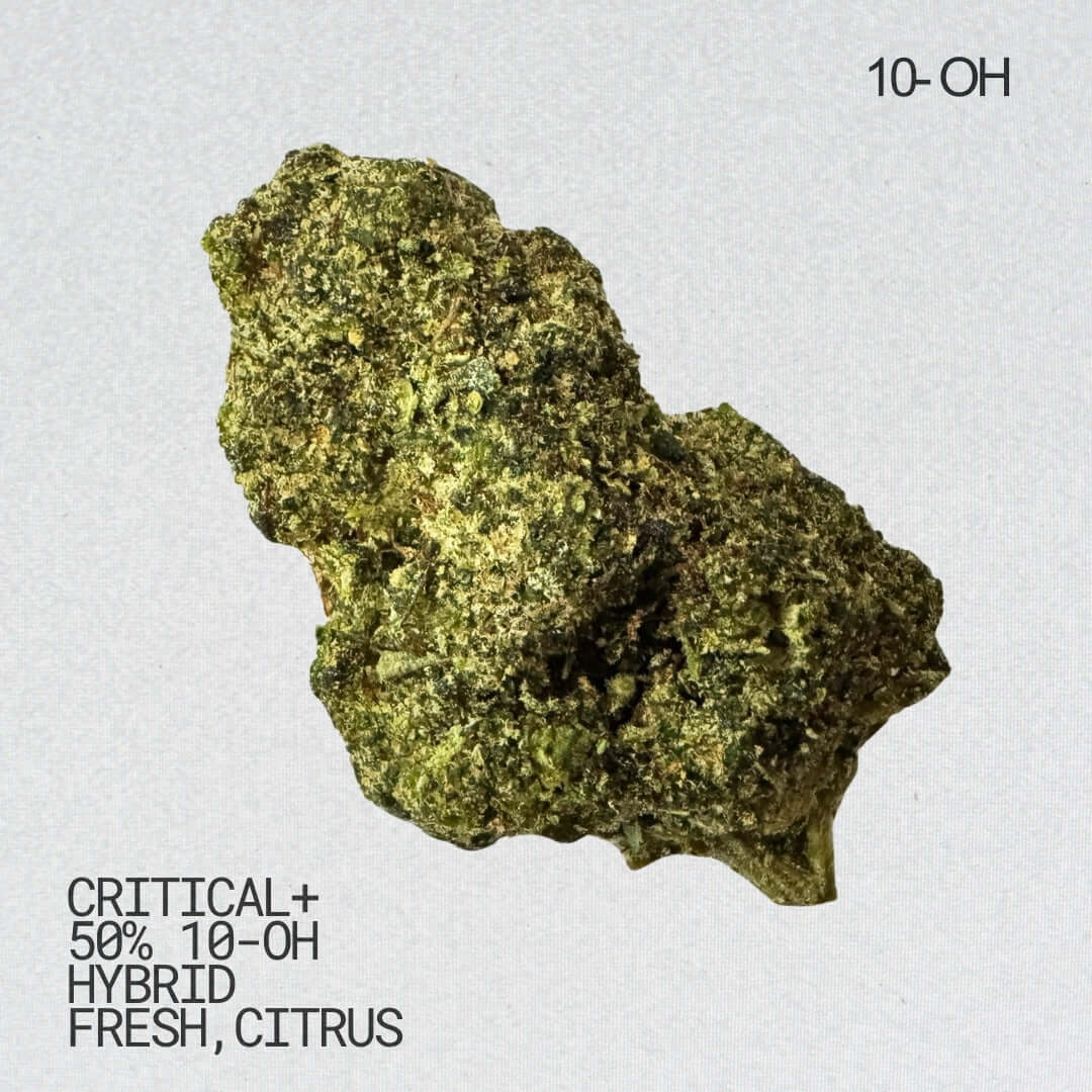Critical+ 10-OH-HHC Blüten 50% 10-OH-HHC Altai-Hemp's