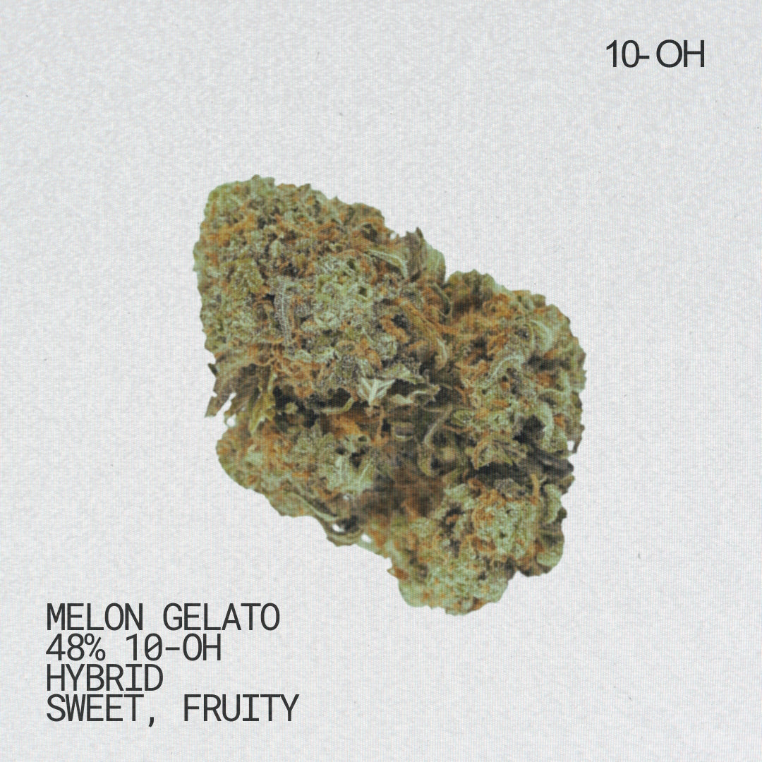 Melon Gelato 10-OH-HHC Blüten in Hybrid mit fruchtigem Melonen-Aroma und cremigem Finish.