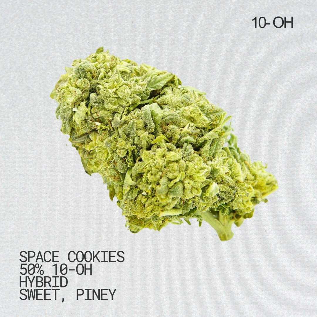 Space Cookies 10-OH-HHC Blüten 50% 10-OH-HHC Altai-Hemp's
