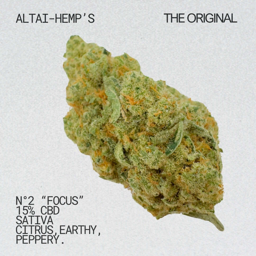 THE ORIGINAL N°2 "Focus" CBD Blüten CBD Blüten Altai-Hemp's