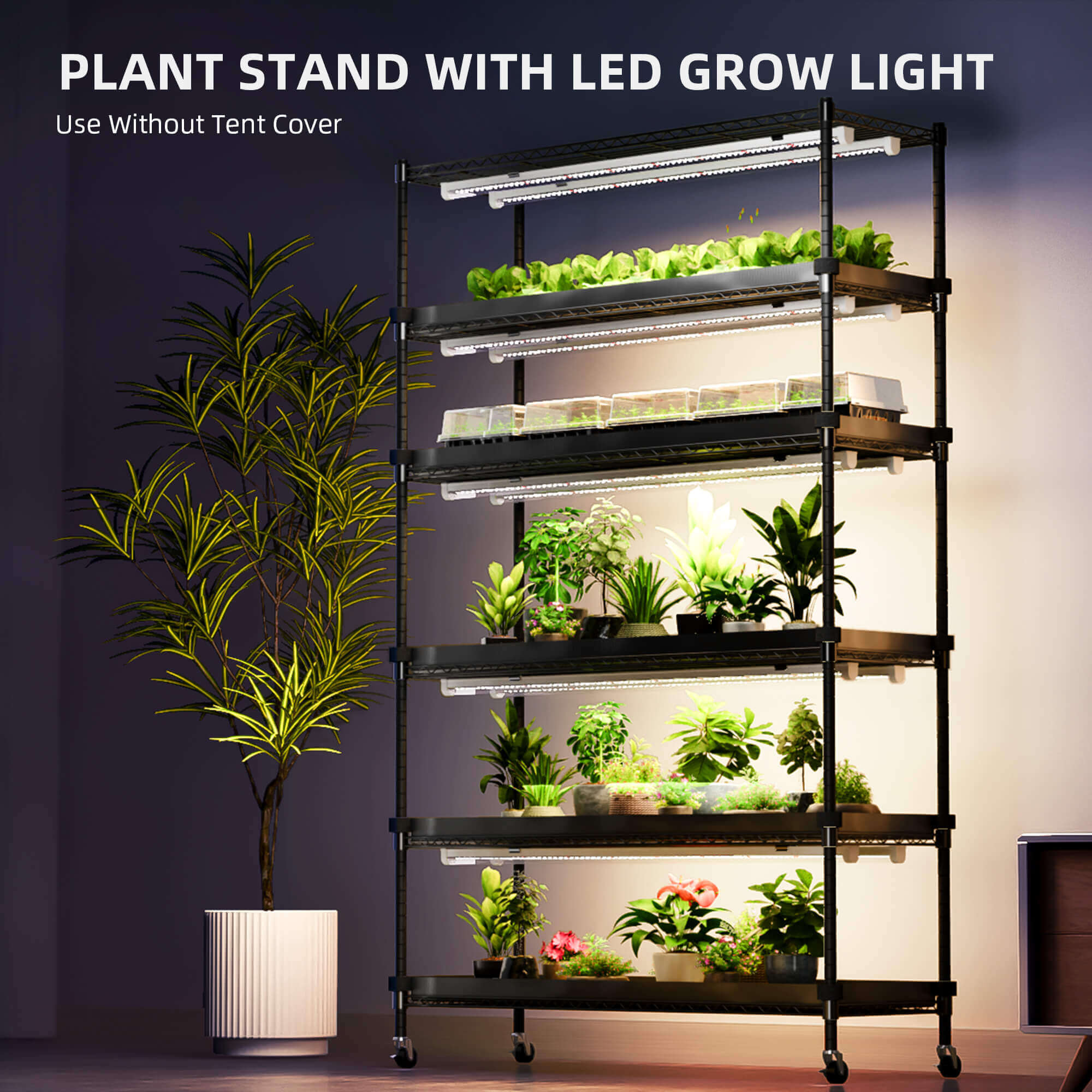 Pflanzenregal 6 Ebenen – 220W LED-Licht für Indoor-Grow