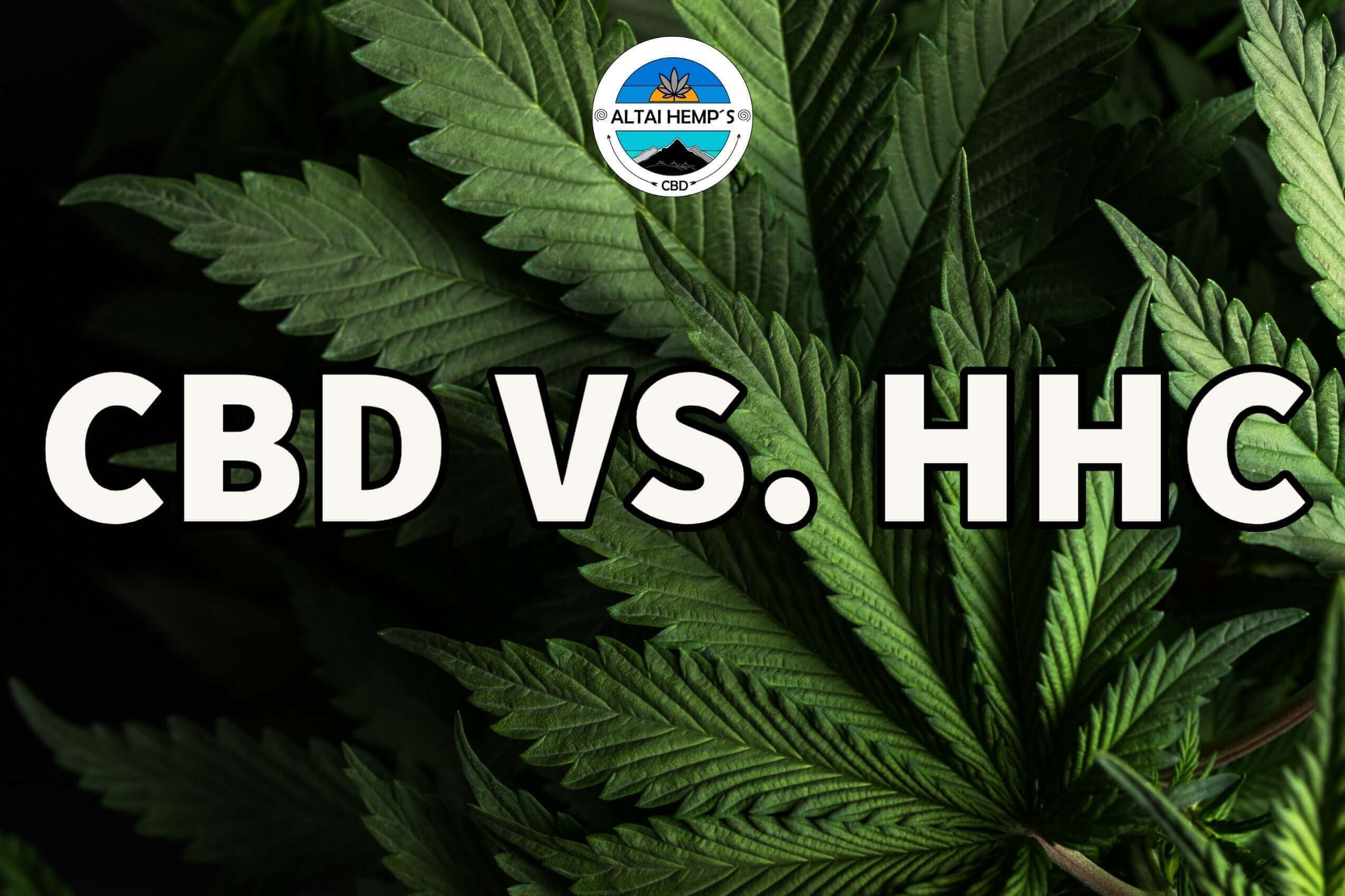 Einsteigerleitfaden: CBD vs HHC - Was ist der Unterschied? - Altai-Hemp's