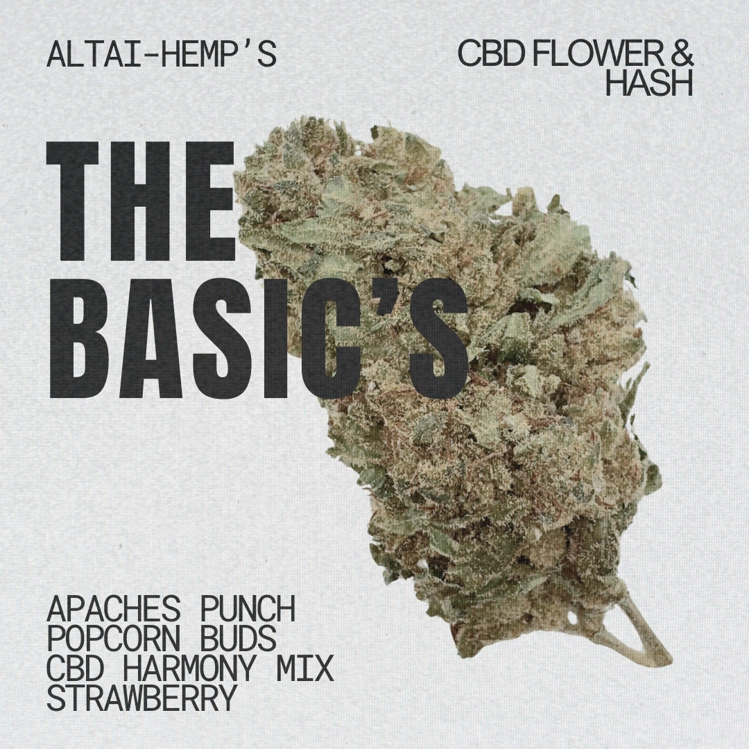The Basics