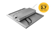 Caluma Set - 2 Plants (80 x 80 cm, 150 W)