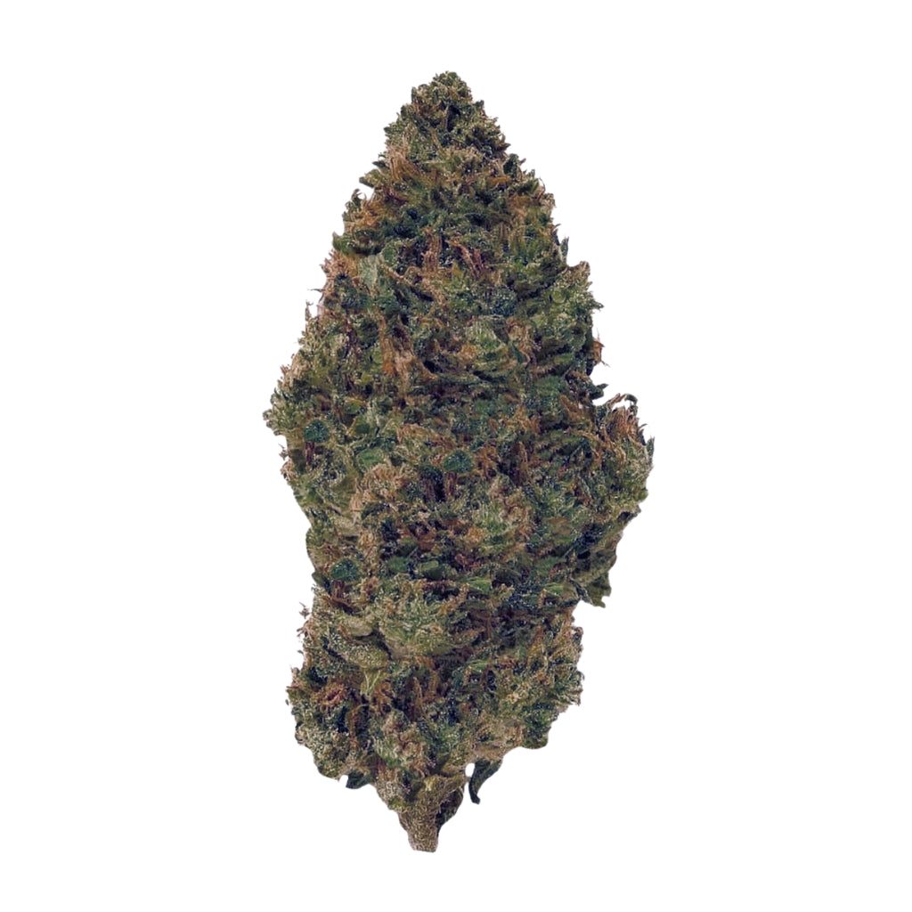 Altai-Hemps-JackHerer-HHCBlueten.jpg