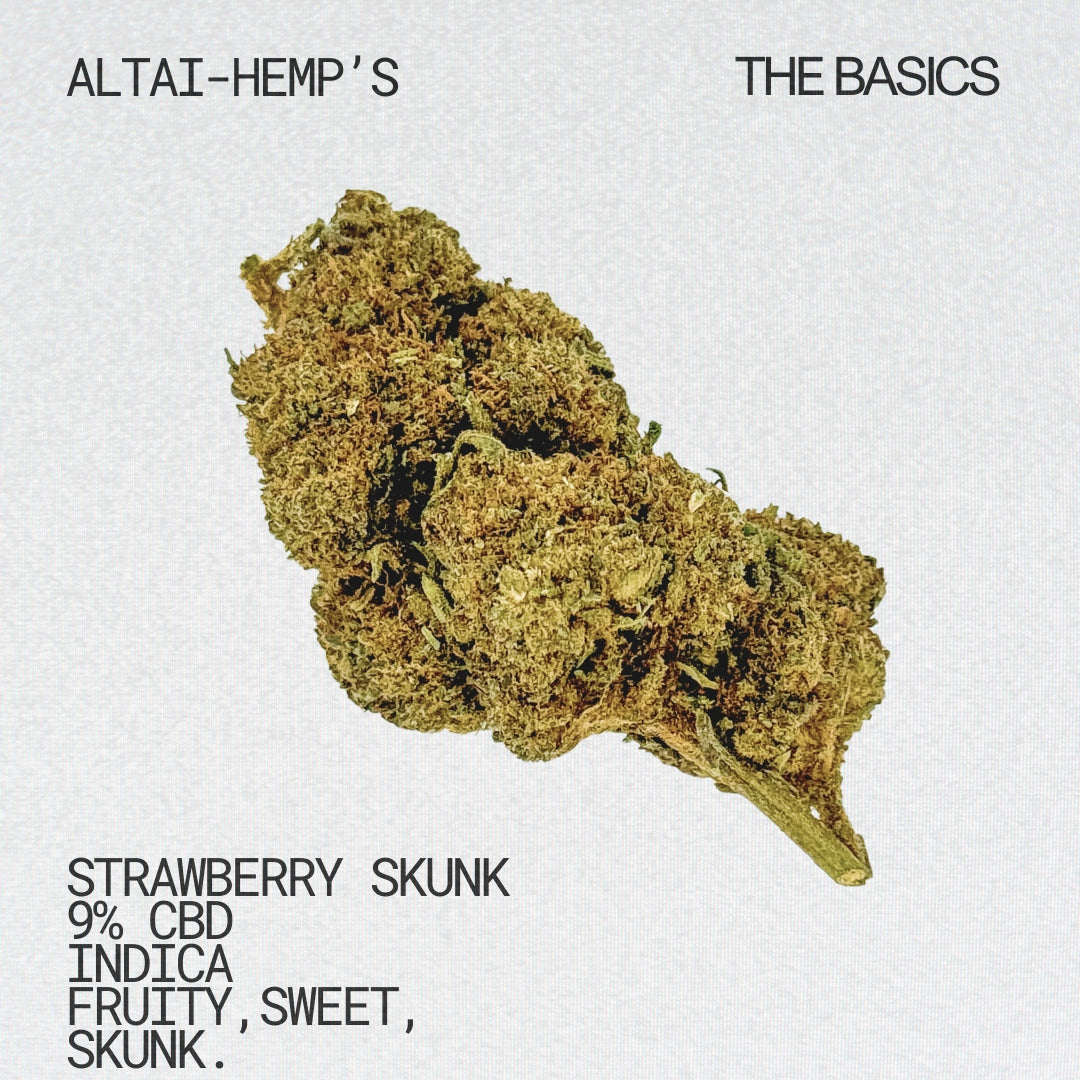 Altai-Hemps-StawberrySkunk-CBDBlueten_fc10befb-7bf9-45a7-9db6-38778e335968.jpg