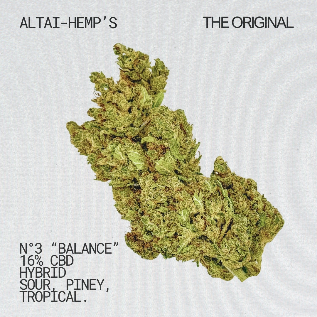 THE ORIGINAL N°3 "Balance" CBD Blüten