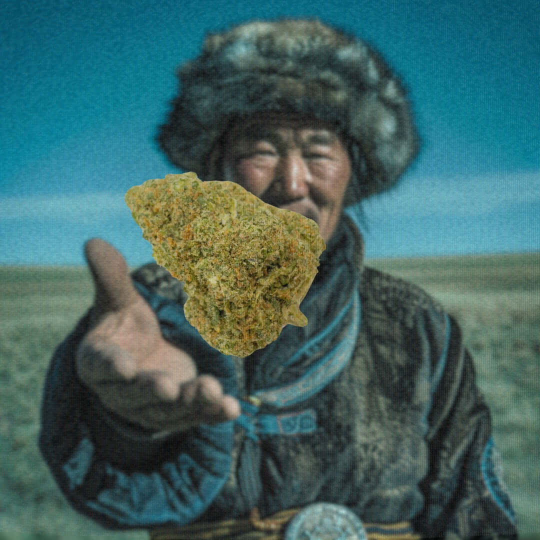 Altai-Hemps-_Original_Kollektion_DNA.jpg Altai-Hemp's