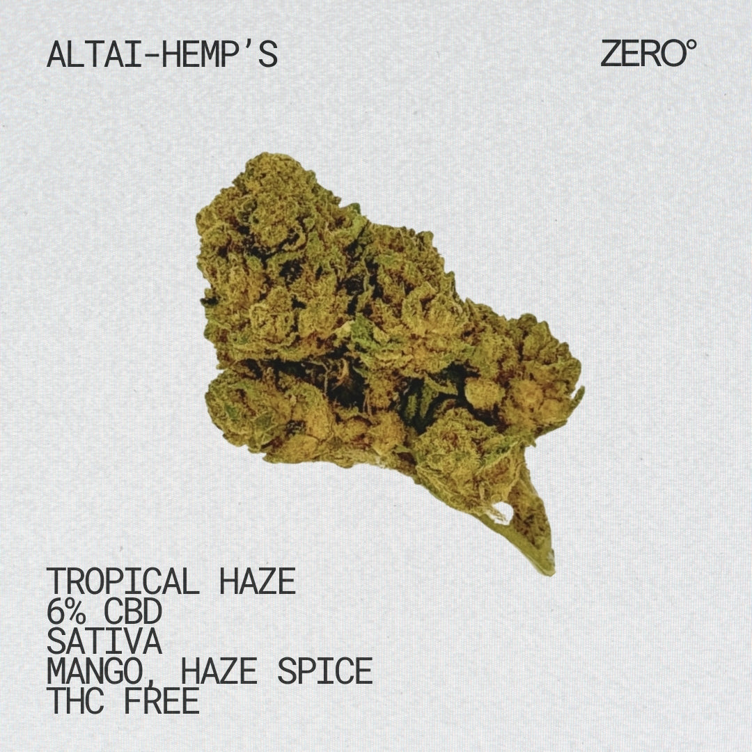 Altai-Hemps-_Tropical_haze-_CBD_Blueten.jpg