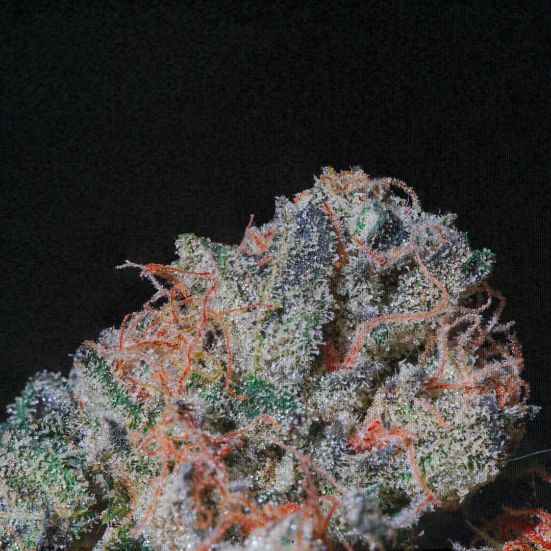 Altai-Hemps_Original_Bluete_CBD.jpg Altai-Hemp's