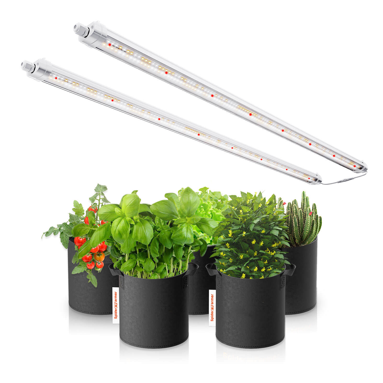 Glow80LED80WVollspektrum_wasserfest_SpiderFarmerPro.jpg