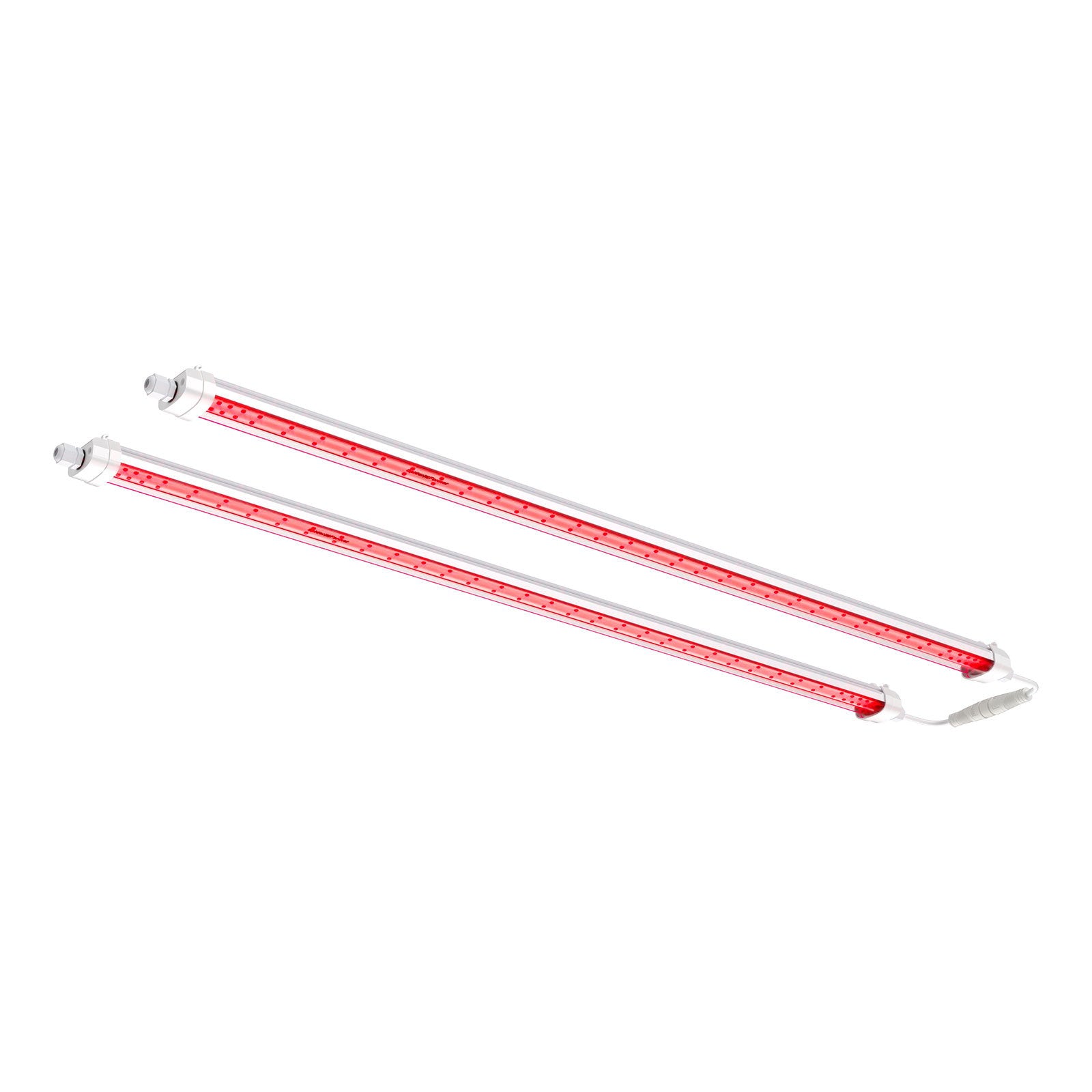 GlowR80LED80W_DeepRedLichtfuerBluete-Optimierung.jpg