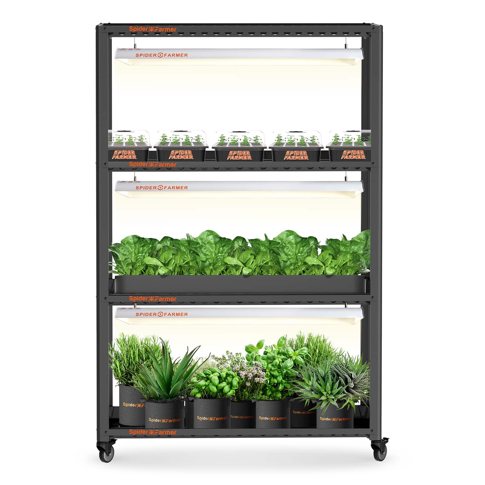 Grow-Setmit3xSF600LEDs_Regal_SpiderFarmerIndoor.jpg