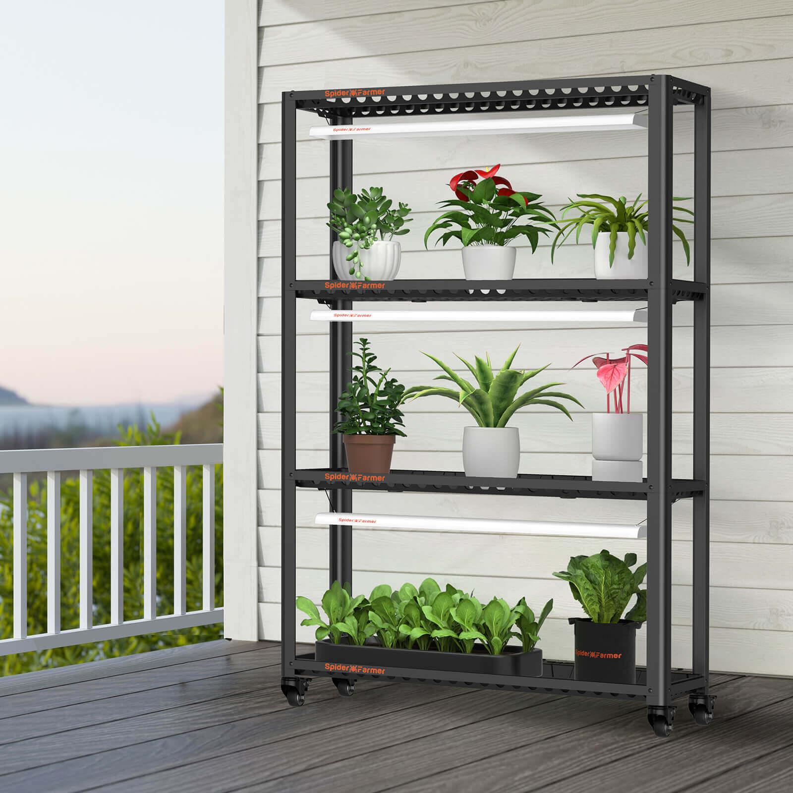 Grow-Set mit 3x SF600 LEDs & Regal – Spider Farmer Indoor