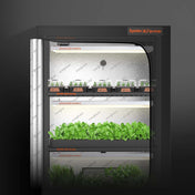 Grow-Set mit 3x SF600 LEDs & Regal – Spider Farmer Indoor