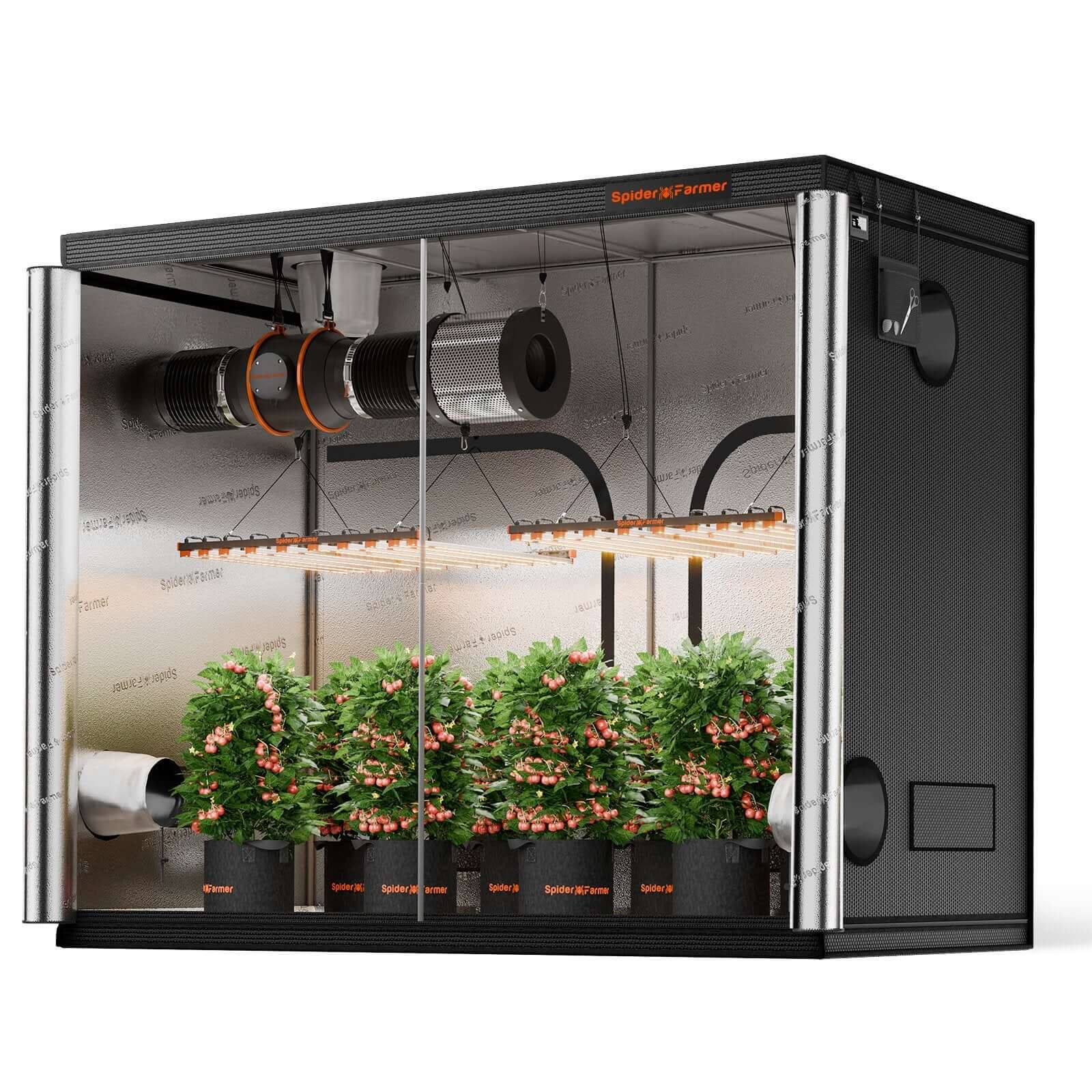 Growzelt 300x150x200cm – breite Indoor-Box für Großzucht Spider Farmer
