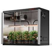 Growzelt 300x150x200cm – breite Indoor-Box für Großzucht Spider Farmer