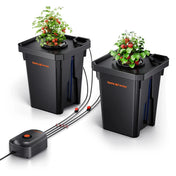Hydroponik-System DWC 2er – mit Luftpumpe & Tank, Spider Farmer