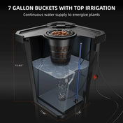 Hydroponik-System DWC 2er – mit Luftpumpe & Tank, Spider Farmer