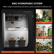 Hydroponik-System DWC 2er – mit Luftpumpe & Tank, Spider Farmer