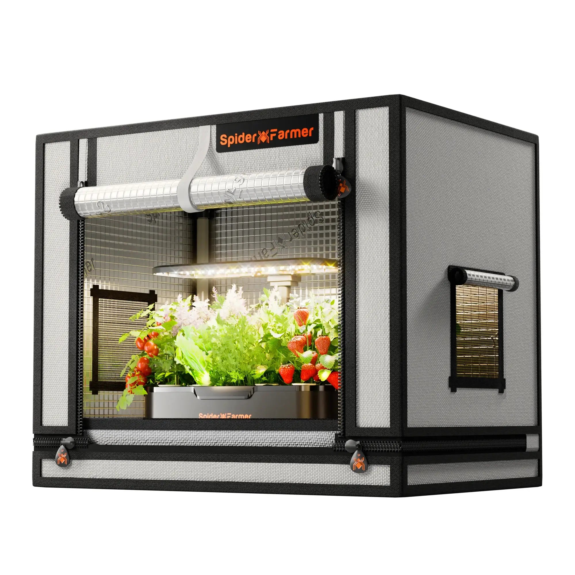 Mini Growzelt 60x40x50cm – Indoor Anzucht-Box Spider Farmer