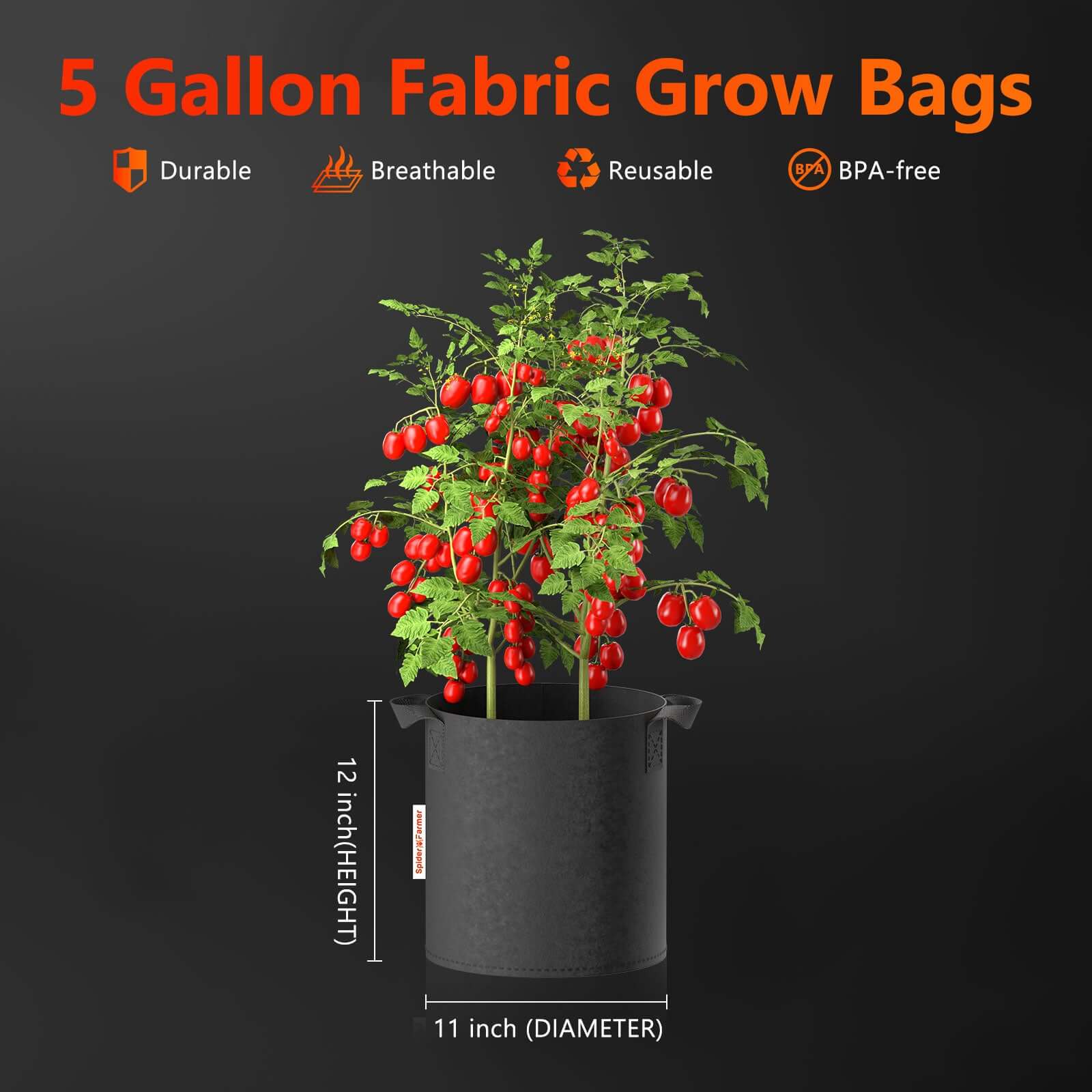 Pflanzsack 5er-Set 19L – Vliesstoff Topf atmungsaktiv, Spider