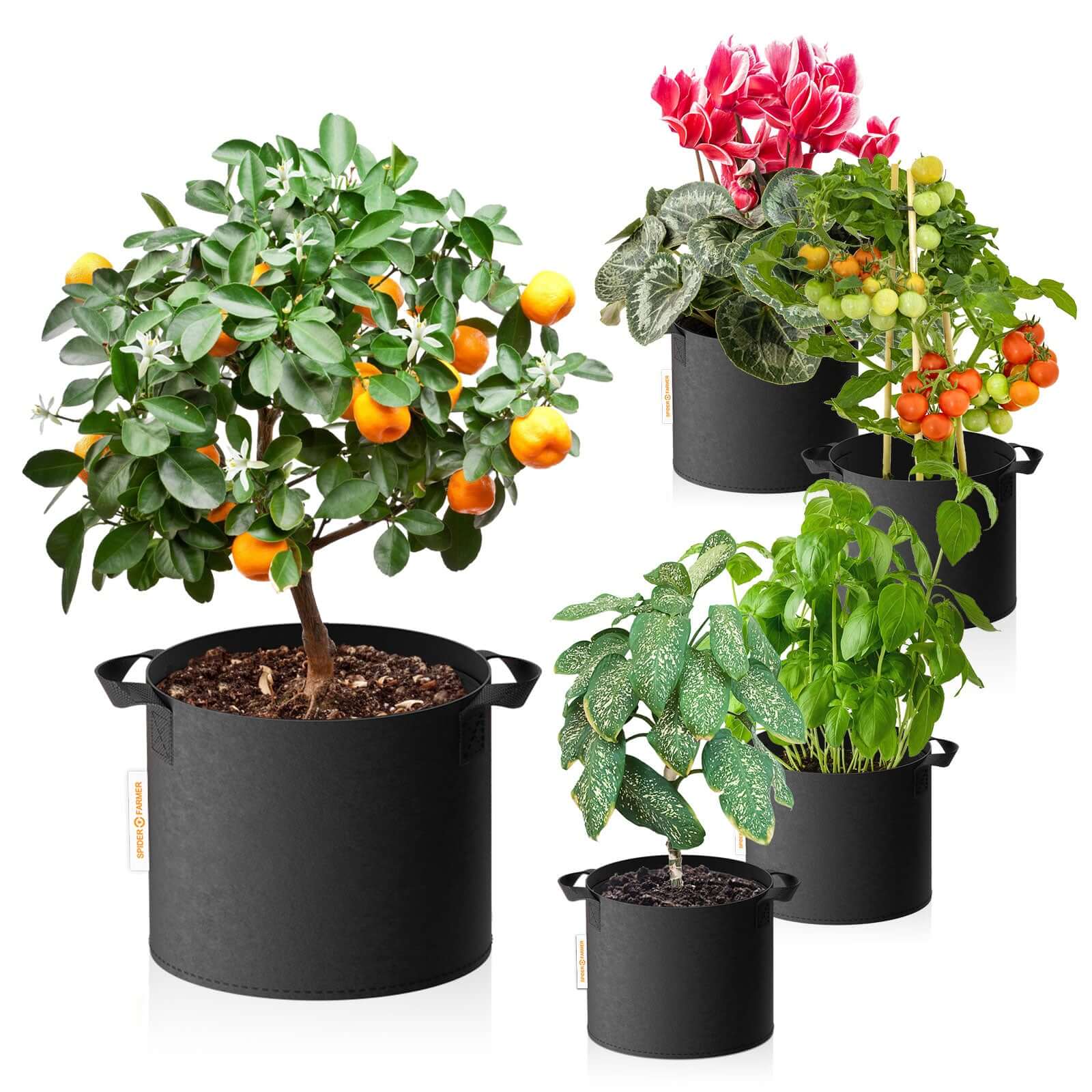 Pflanzsack 5er-Set 40L – Vliesstoff-Topf für Wurzelstärke