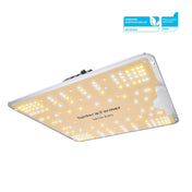 SF1000 EVO LED Growlampe 100W – Samsung LM301H