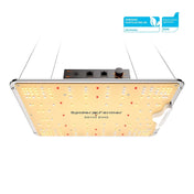 SF1000 EVO LED Growlampe 100W – Samsung LM301H