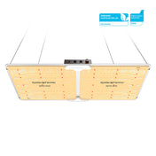 SF2000 EVO LED Growlampe 200W – Samsung LM301H