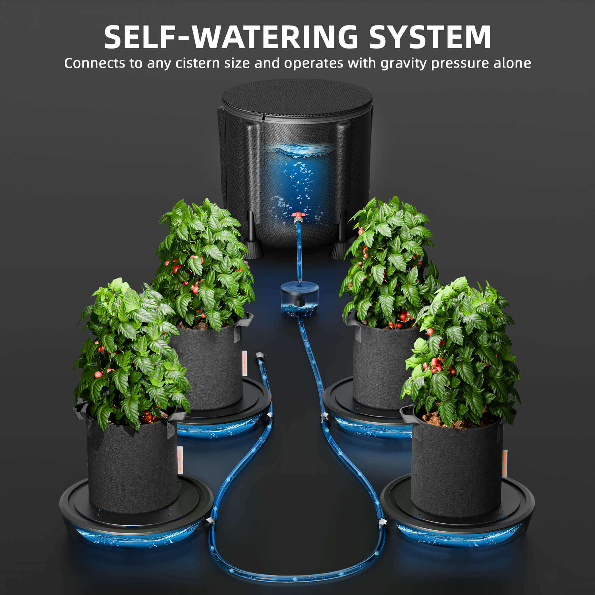 Selbstbewässerung 4er-Set – Wasser-Kits für Pflanzen - Spider