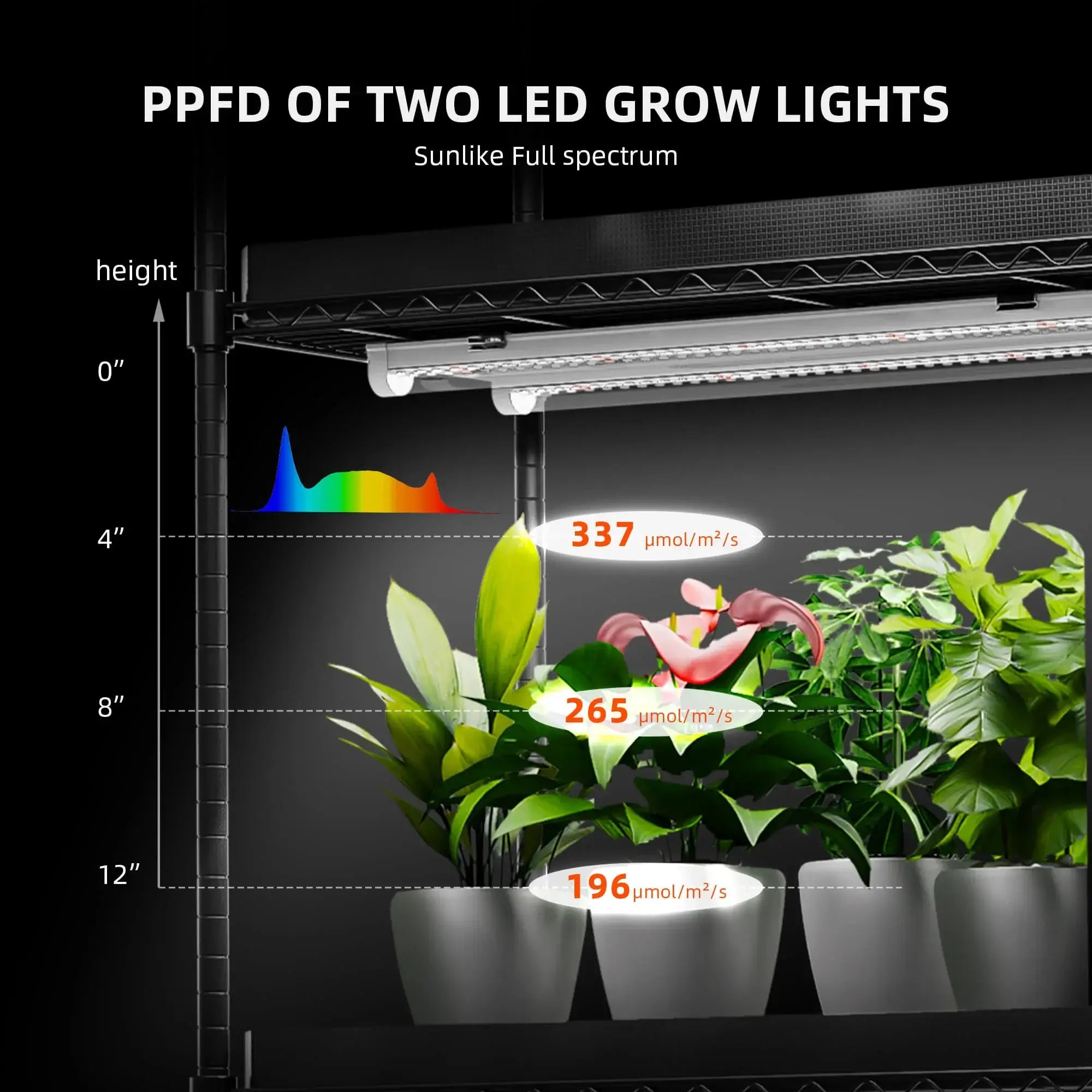 Pflanzenregal 4 Ebenen mit Licht – 108W LED System, Spider Farmer